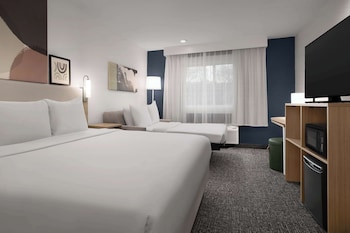 Room, 1 King Bed with Sofa bed