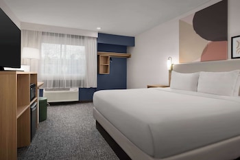 Room, 1 King Bed