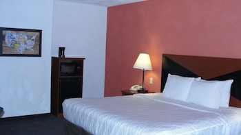 Standard Room, 1 King Bed, Non Smoking (Pet Friendly)