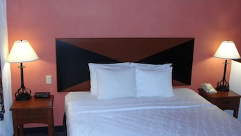 Standard Room, 1 King Bed, Non Smoking, Refrigerator & Microwave (with Single Sofabed)