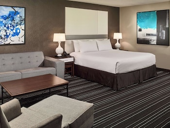 Room, 1 King Bed with Sofa bed