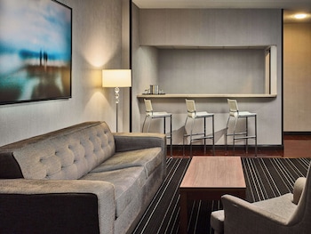 Suite, 1 King Bed with Sofa bed