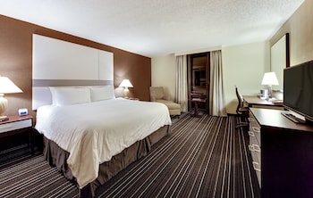 Room, 1 King Bed, Accessible