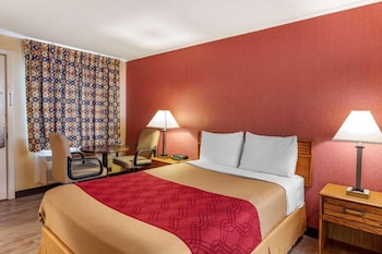 Standard Room, 1 Double Bed, Non Smoking