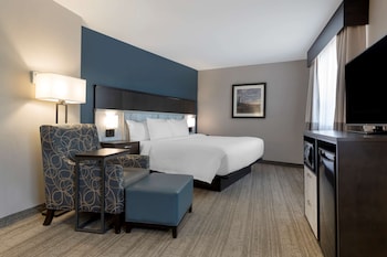 Standard Room, 1 King Bed, Non Smoking, Refrigerator