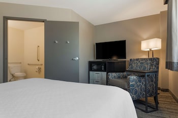 Standard Room, 1 Queen Bed, Accessible, Refrigerator