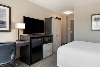 Standard Room, 1 Queen Bed, Non Smoking, Refrigerator