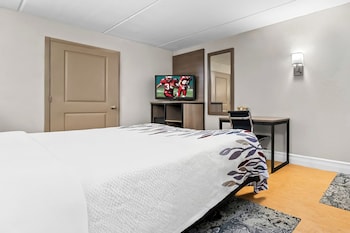 Standard Room, 1 King Bed, Accessible (Smoke Free)