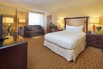 Room, 1 Queen Bed with Sofa bed
