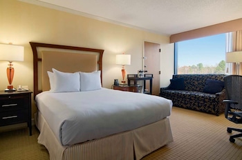 Room, 1 Queen Bed with Sofa bed