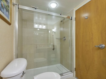 Room, Accessible (Roll-in Shower)