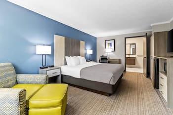 Room, 1 King Bed, Accessible, Non Smoking
