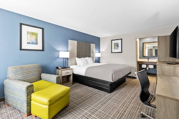 Standard Room, 1 King Bed, Non Smoking
