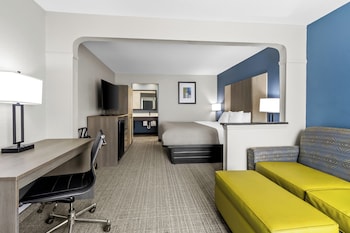 Room, 1 King Bed with Sofa bed, Accessible, Non Smoking
