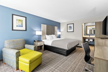 Standard Room, 1 King Bed, Non Smoking