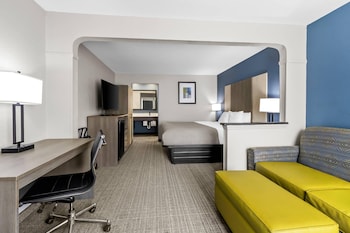 Suite, 1 King Bed with Sofa bed, Non Smoking