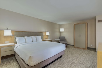 Room, 1 King Bed, Accessible (Hearing)