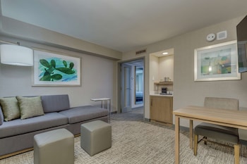 Suite, 1 King Bed, Accessible (Mobility & Hearing, Roll-in Shower)