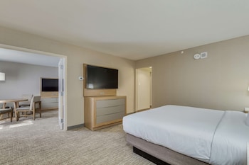 Suite, 1 King Bed, Accessible (Mobility & Hearing, Roll-in Shower)