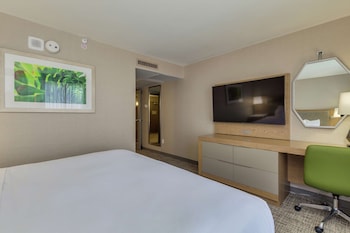 Room, 1 King Bed with Sofa bed, Pool View