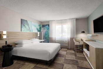 Room, 1 King Bed, Accessible, Non Smoking
