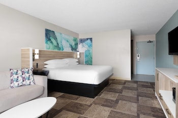 Room, 1 King Bed, Non Smoking