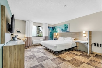 Room, 1 King Bed, Accessible, Non Smoking