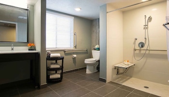 King ADA Shower Room