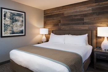 Deluxe One Bedroom Suite