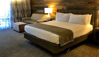 King ADA Tub Room