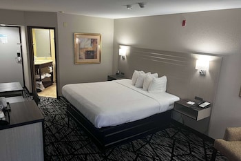 Room, 1 King Bed, Non Smoking