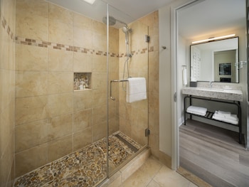 Standard Room, 1 King Bed, Accessible (Roll-In Shower)