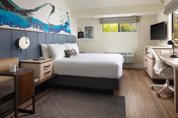 Standard Room, 1 King Bed, Accessible (Roll-In Shower)