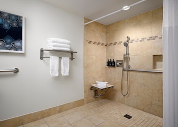 Standard Room, 1 King Bed, Accessible (Roll-In Shower)