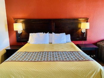 Standard, 1 King Bed, Accessible, Non Smoking (Roll-In Shower)