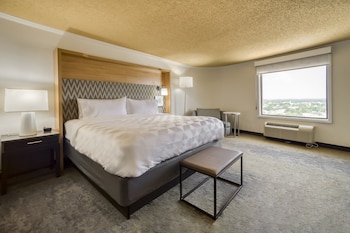 Suite, 1 King Bed