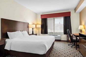 Business Room, 1 King Bed, Non Smoking