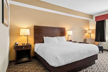 Business Room, 1 King Bed, Accessible, Non Smoking