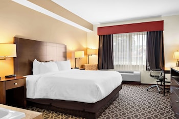Business Room, 1 King Bed, Non Smoking, Jetted Tub
