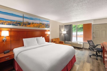 Room, 1 King Bed, Accessible, Non Smoking