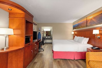 Room, 1 King Bed, Accessible, Non Smoking