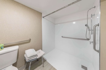 Standard Room, 1 King Bed, Accessible Roll-In Shower, Non Smoking