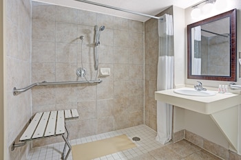 Room, 1 Queen Bed (Mobility, Roll-In Shower)