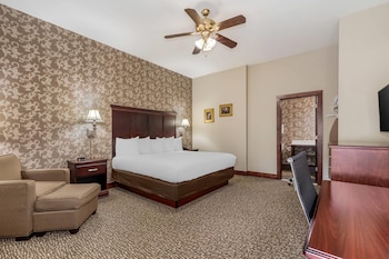 Double or Twin Room, 1 King Bed