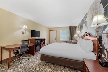 Room, 1 King Bed, Accessible, Non Smoking