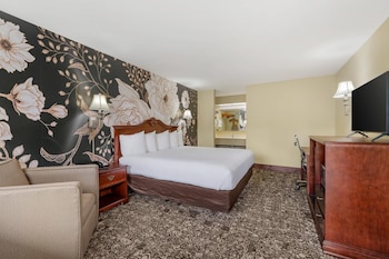 Room, 1 King Bed, Accessible, Non Smoking