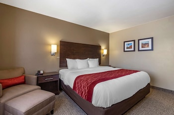 Standard Room, 1 King Bed, Non Smoking