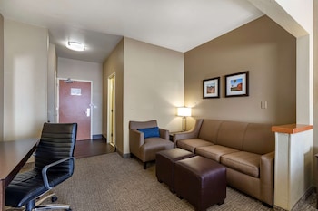 Suite, 1 King Bed with Sofa bed, Non Smoking