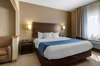 Suite, 1 King Bed with Sofa bed, Non Smoking
