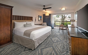 Standard Room, 1 King Bed, Accessible, Terrace